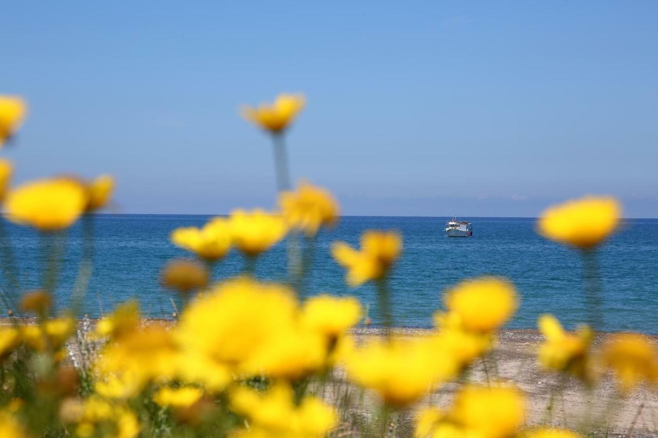 Casa Verdemare Cefalù Buitenkant foto